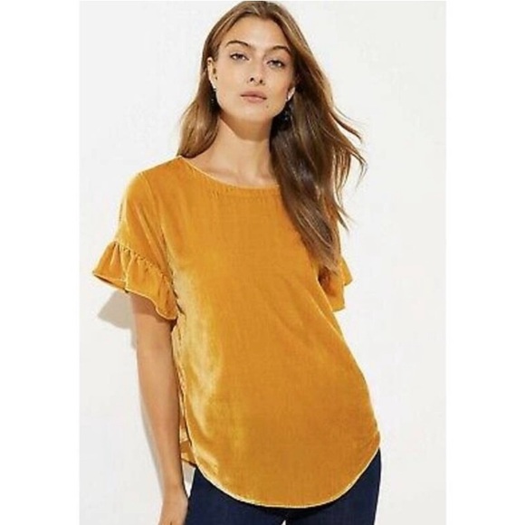 LOFT Tops - Loft Yellow velvet Top ruffle sleeve
